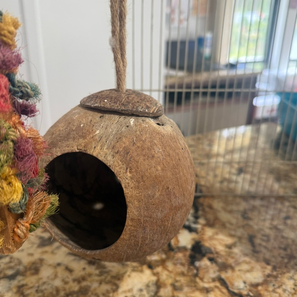 Natural Coconut Bird Toy with Colorful Rope - Picture 6 of 7